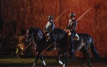 horses-689937_1280.270x220